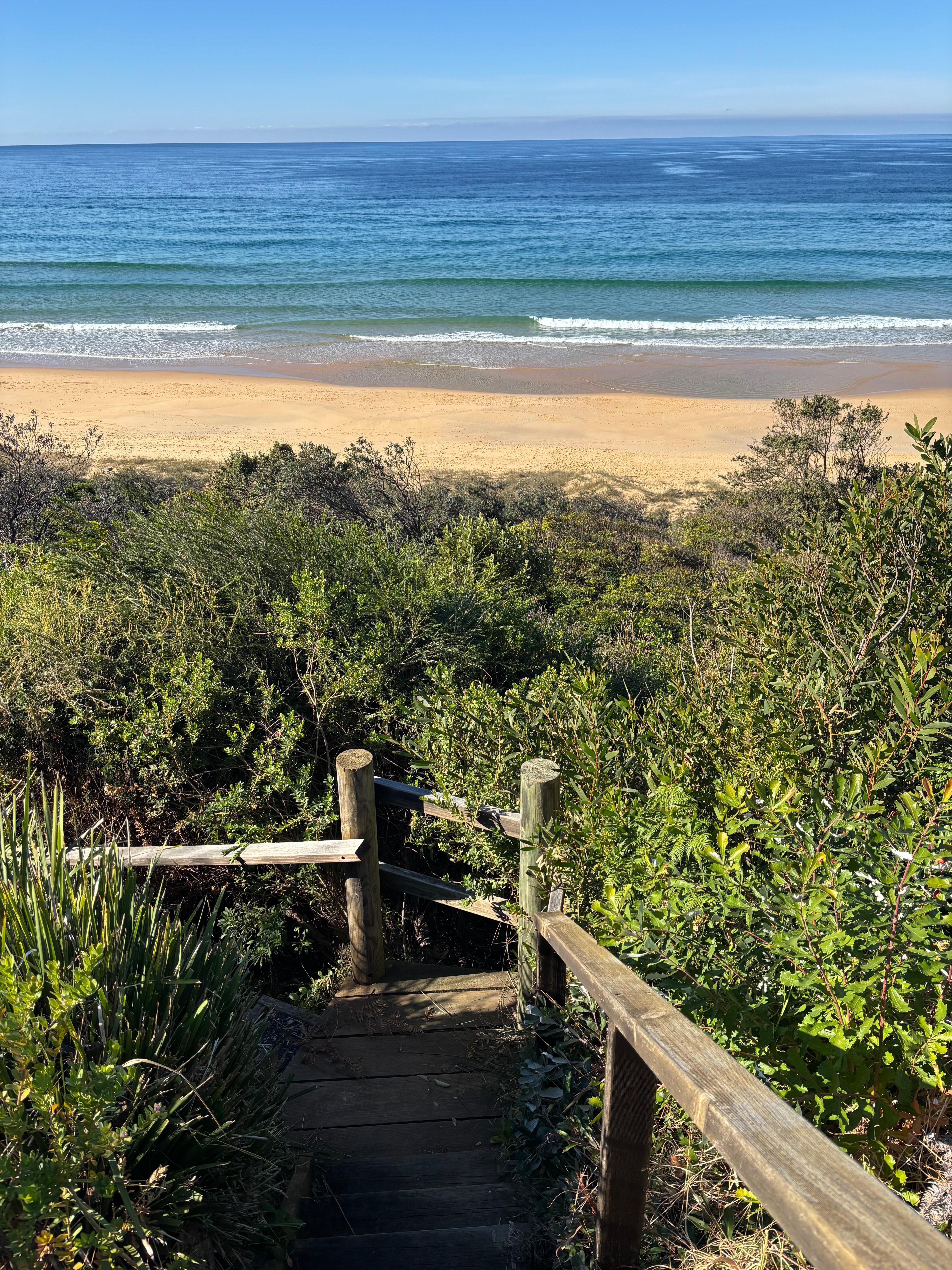 The track to the beach 
