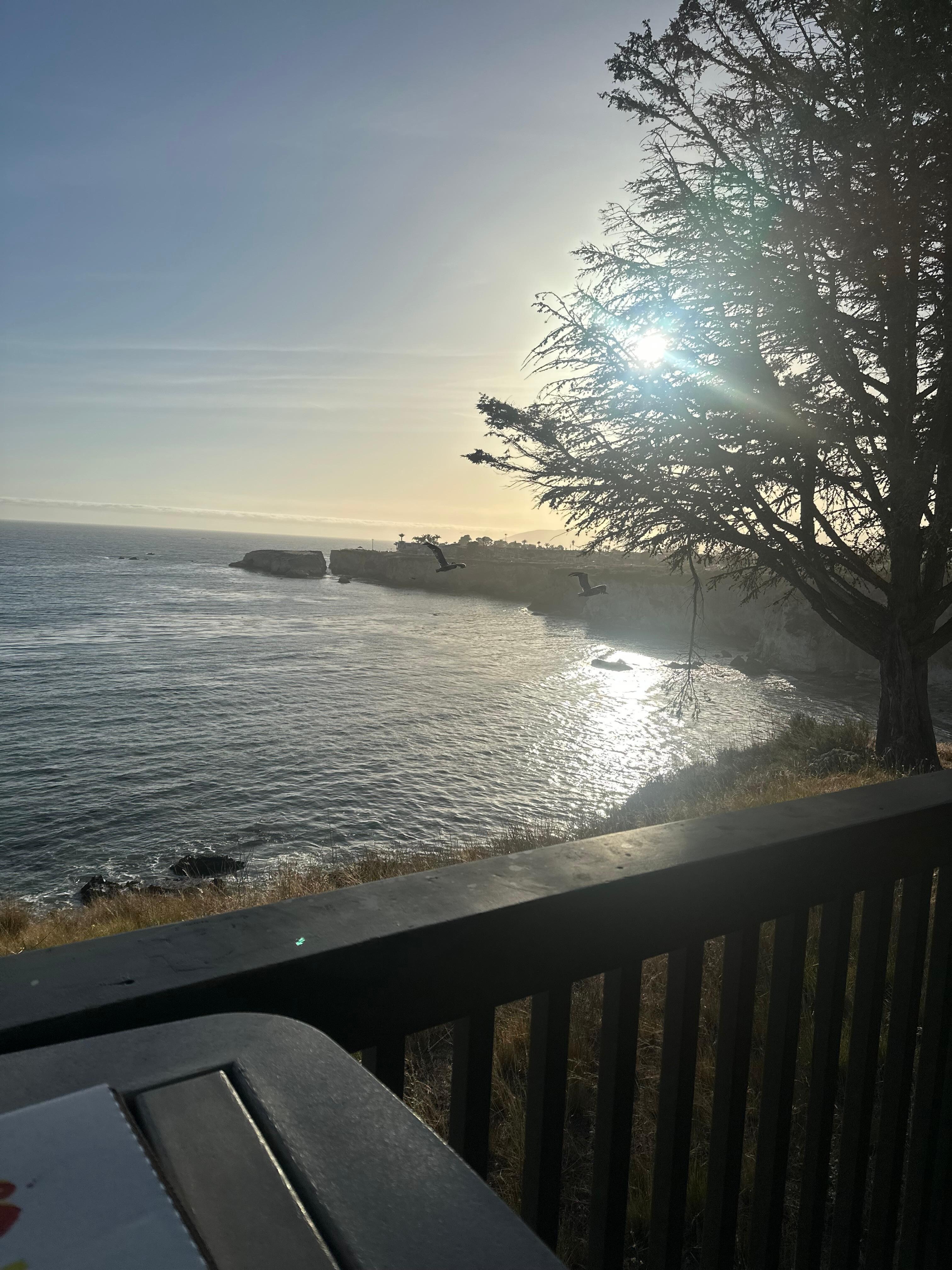 View from the lookout bridge 