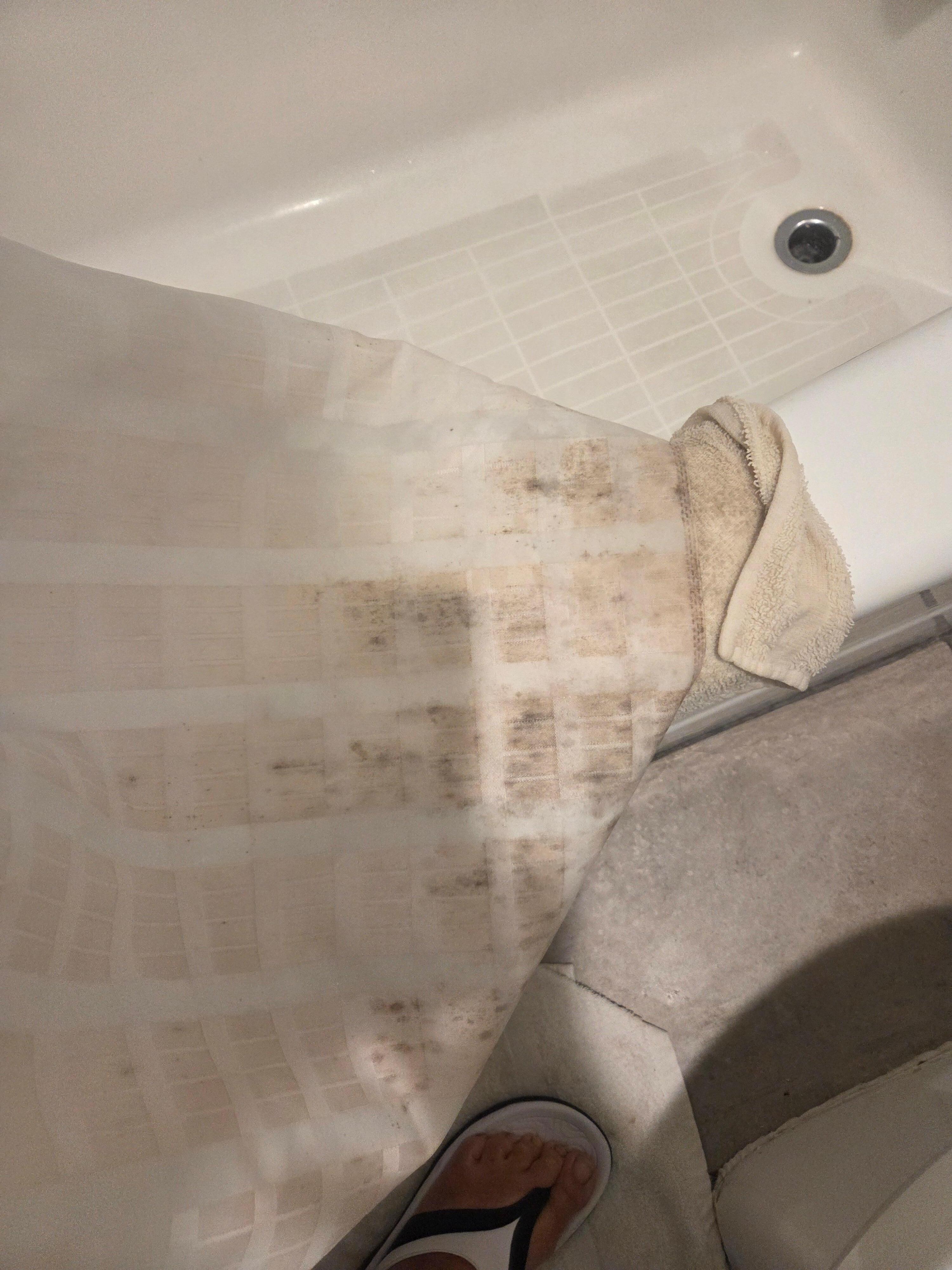 Shower curtain mold