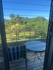 Broken window panels that won’t open.