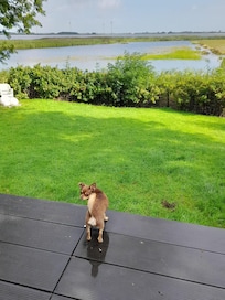 Auch dem Hund gefällt die Aussicht