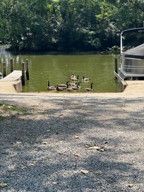 Boat ramp is near the house
