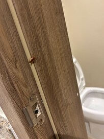 Roaches on first day