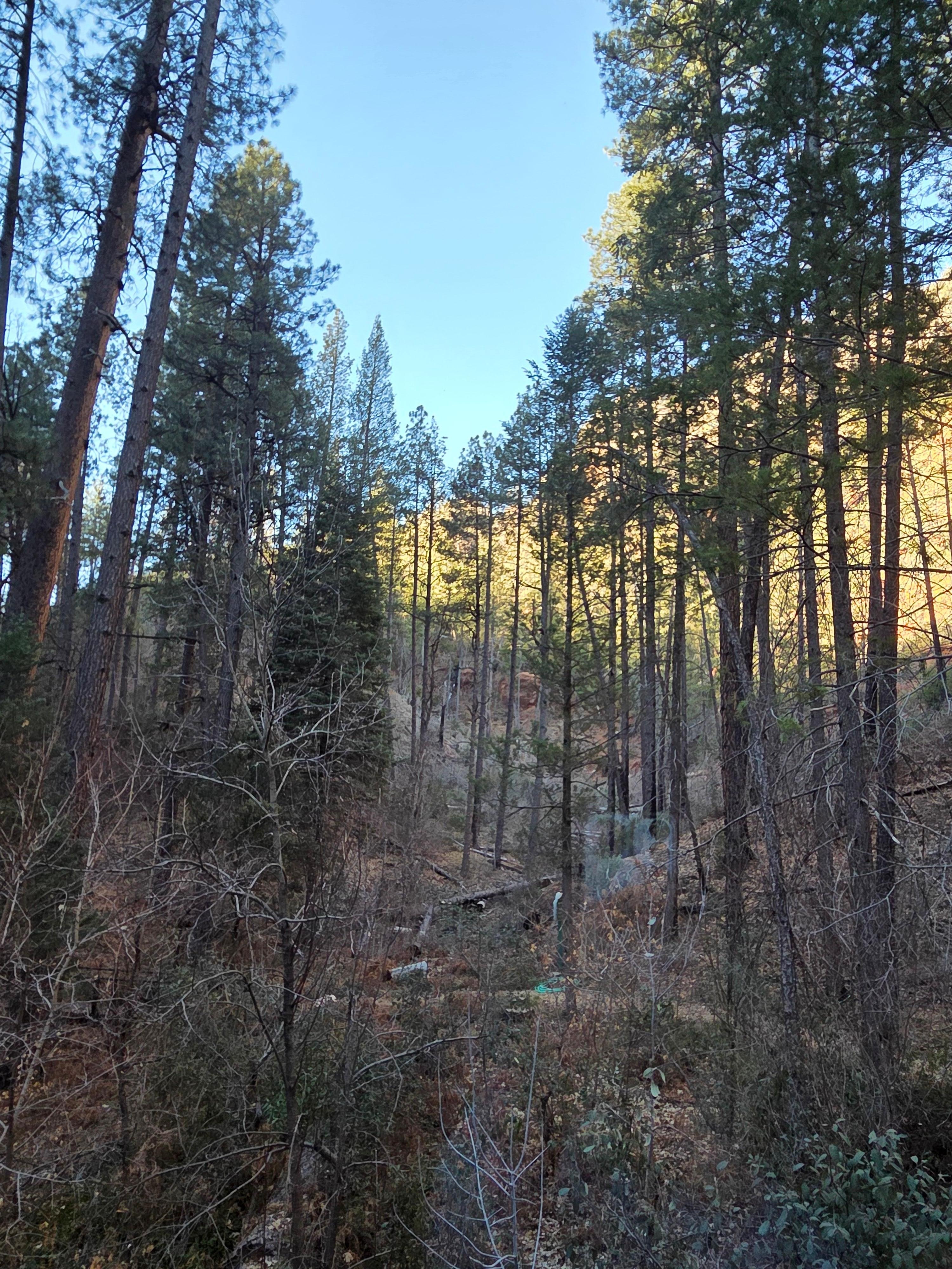 The view from our cabin