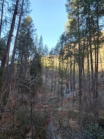 The view from our cabin