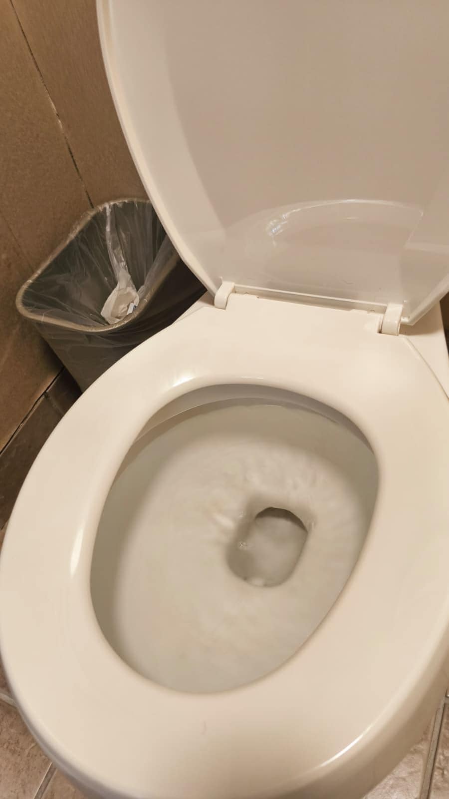 The toilet failed to flash. 