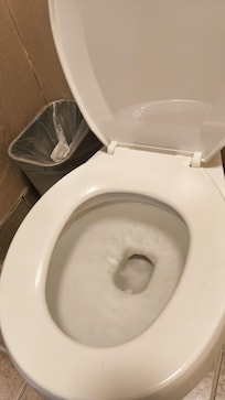 The toilet failed to flash.