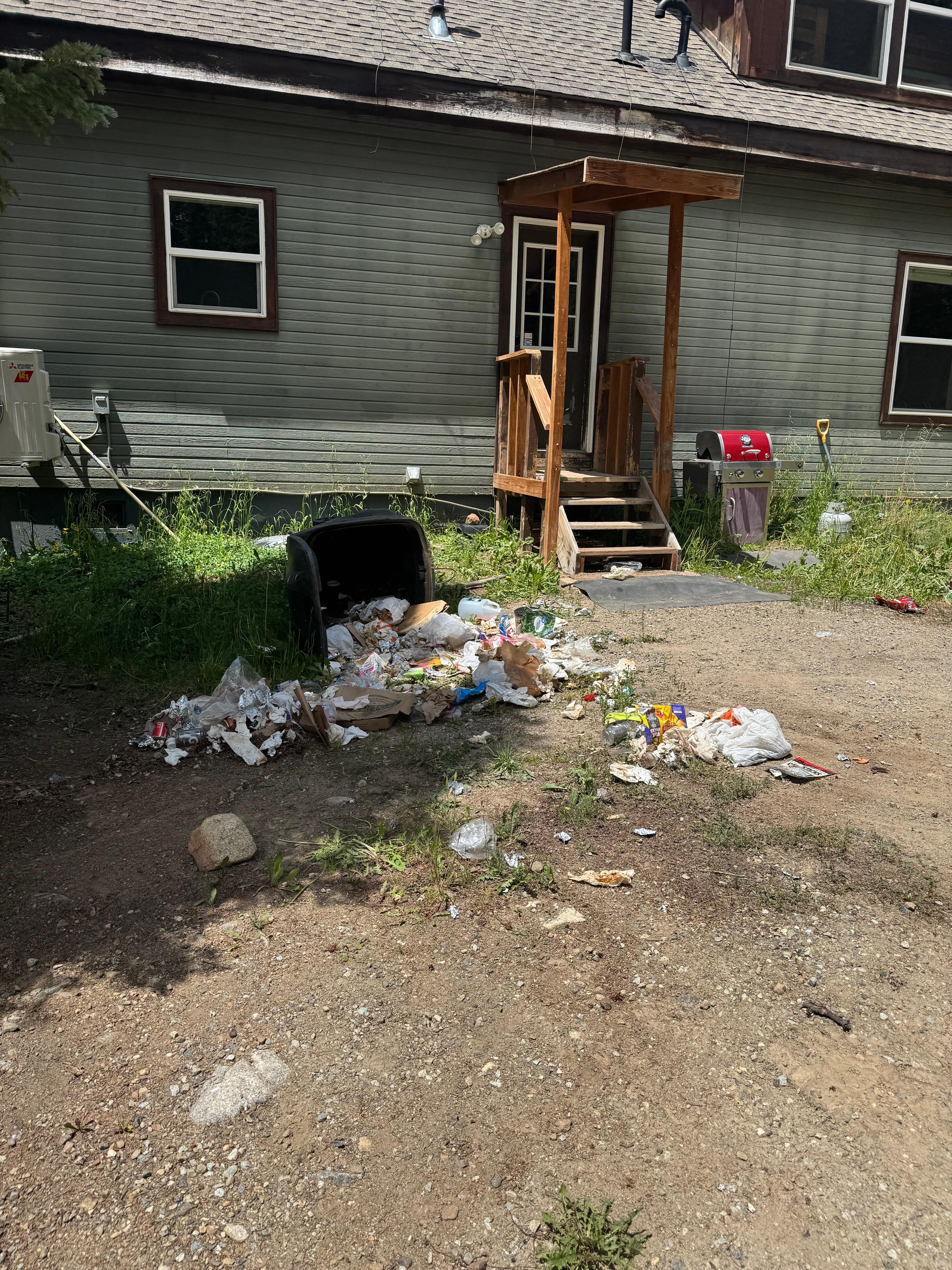 This is what we drove up to.  Had to clean before we even entered the house.