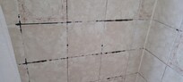 Mold on tiles in shower and bath tub was disgustingly stained