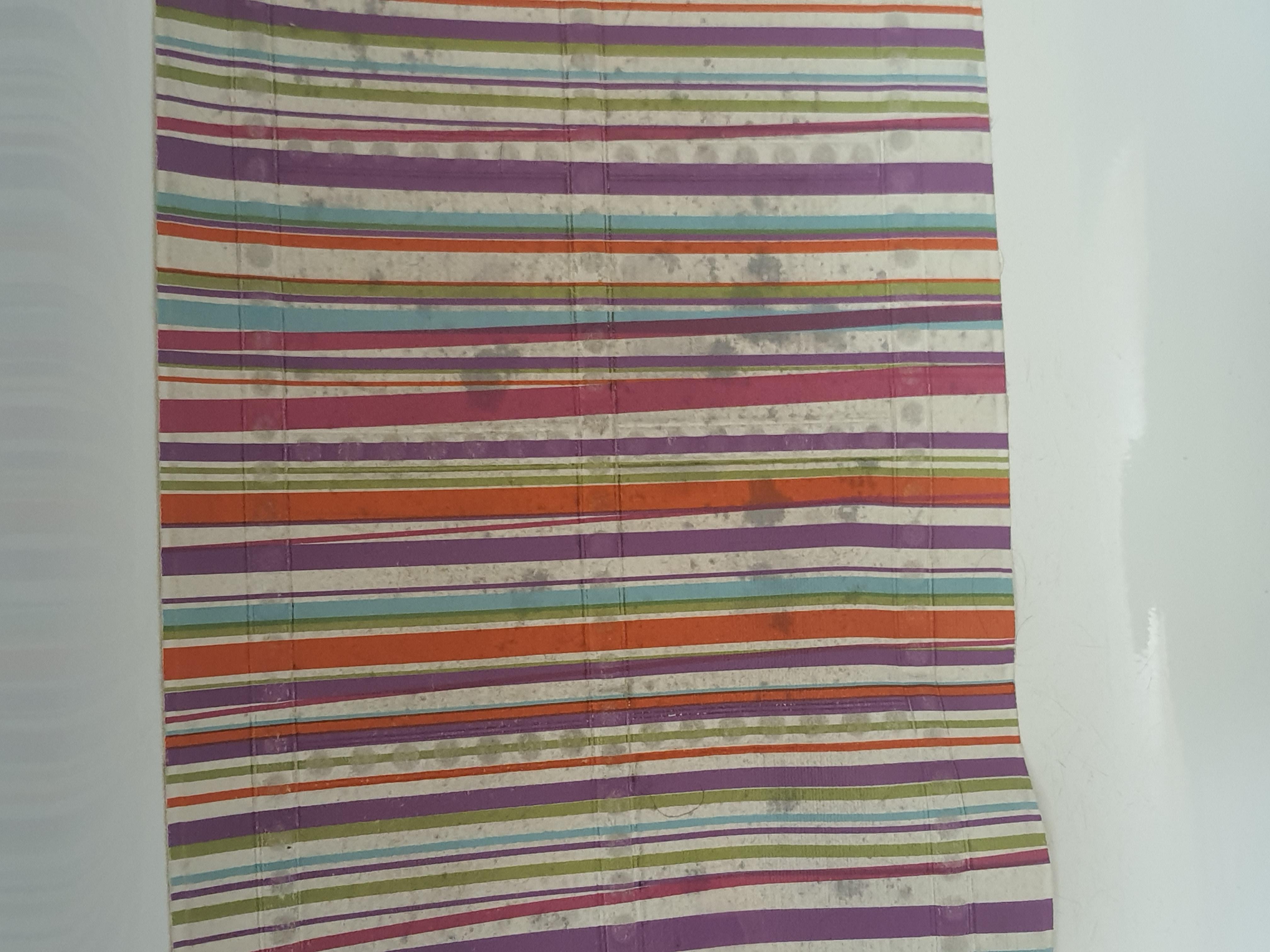 Tapis de baignoire moisi