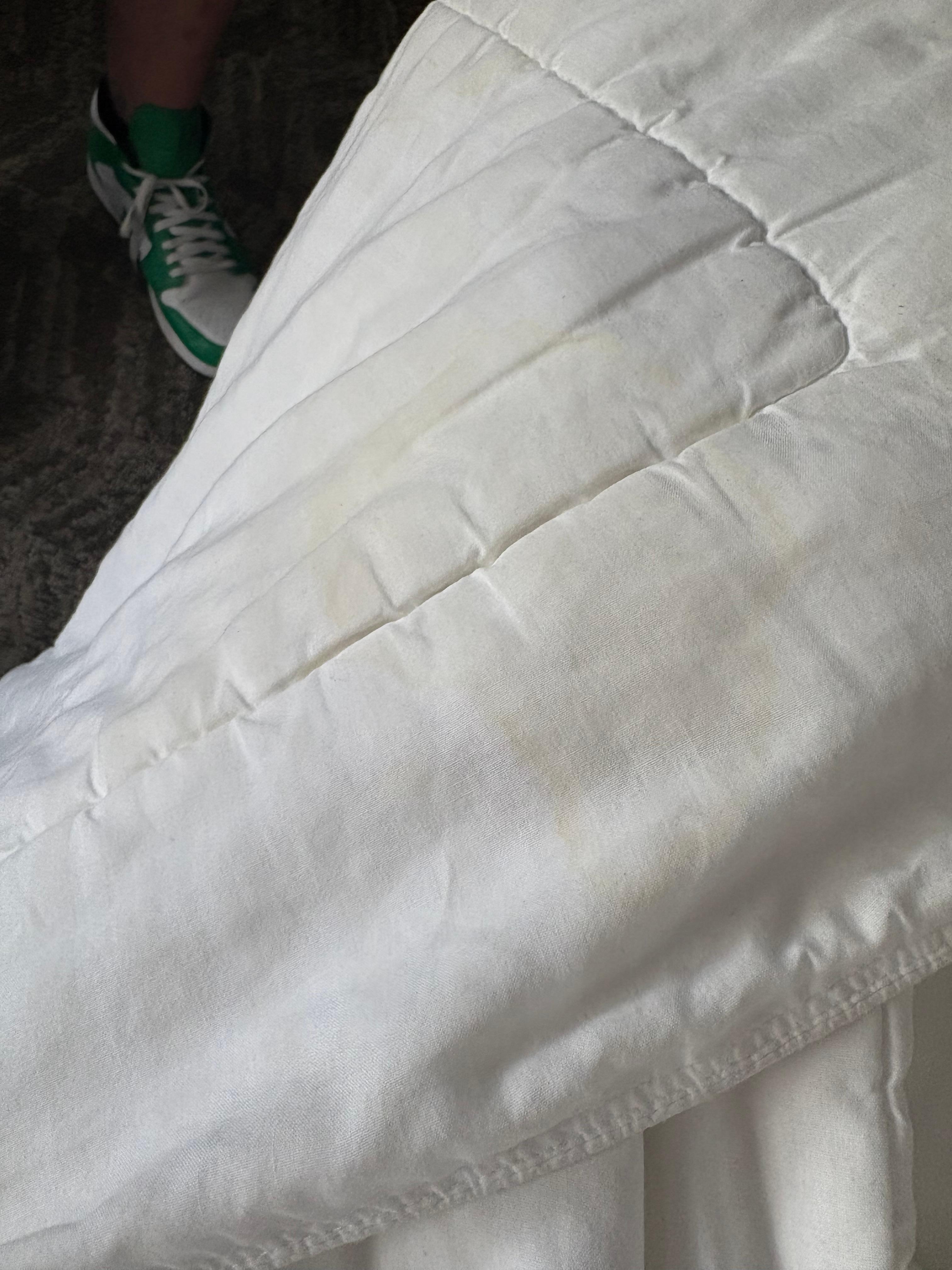 Pee sheets