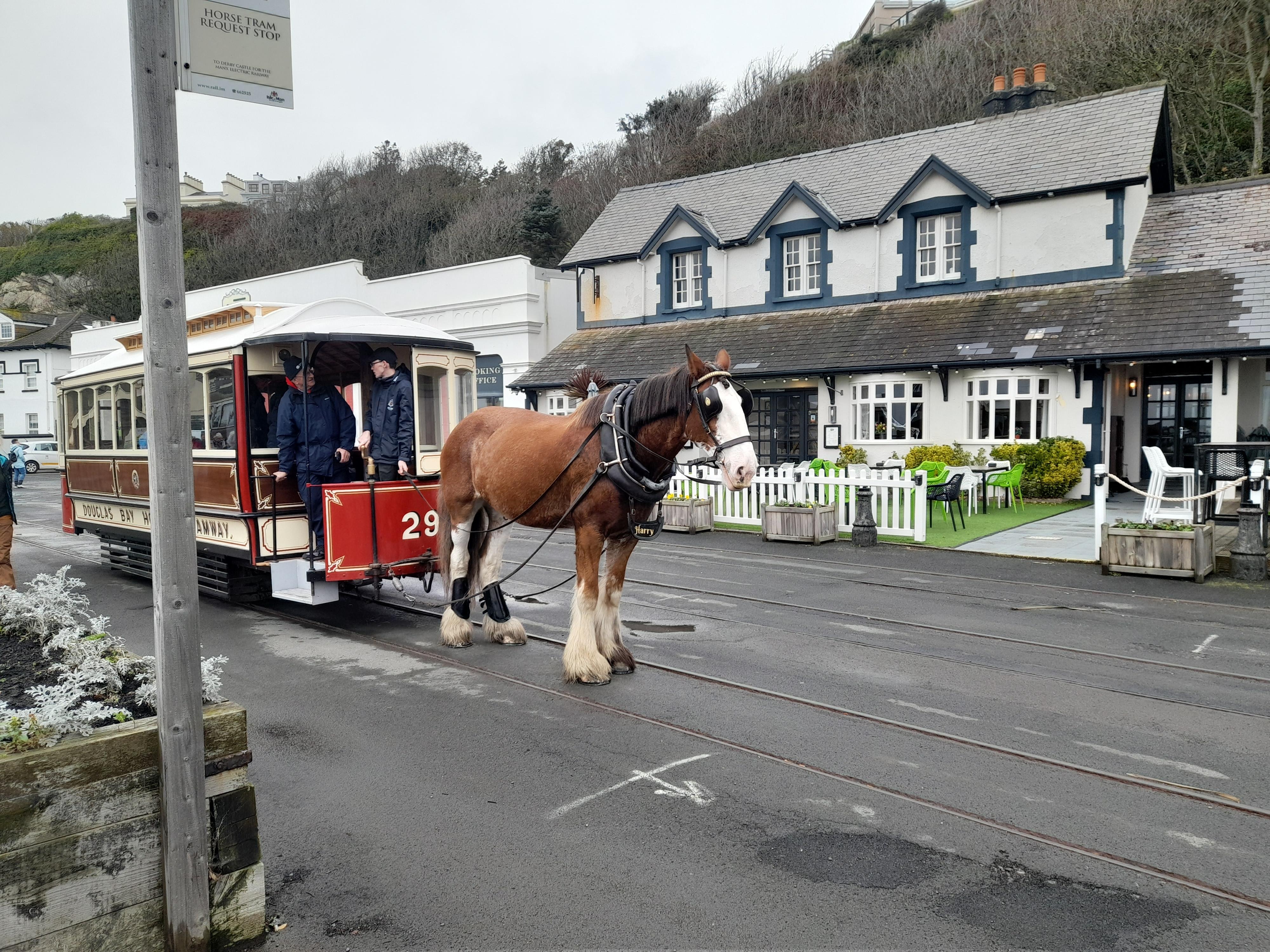 Horse drawn tram, very pleasant experience 