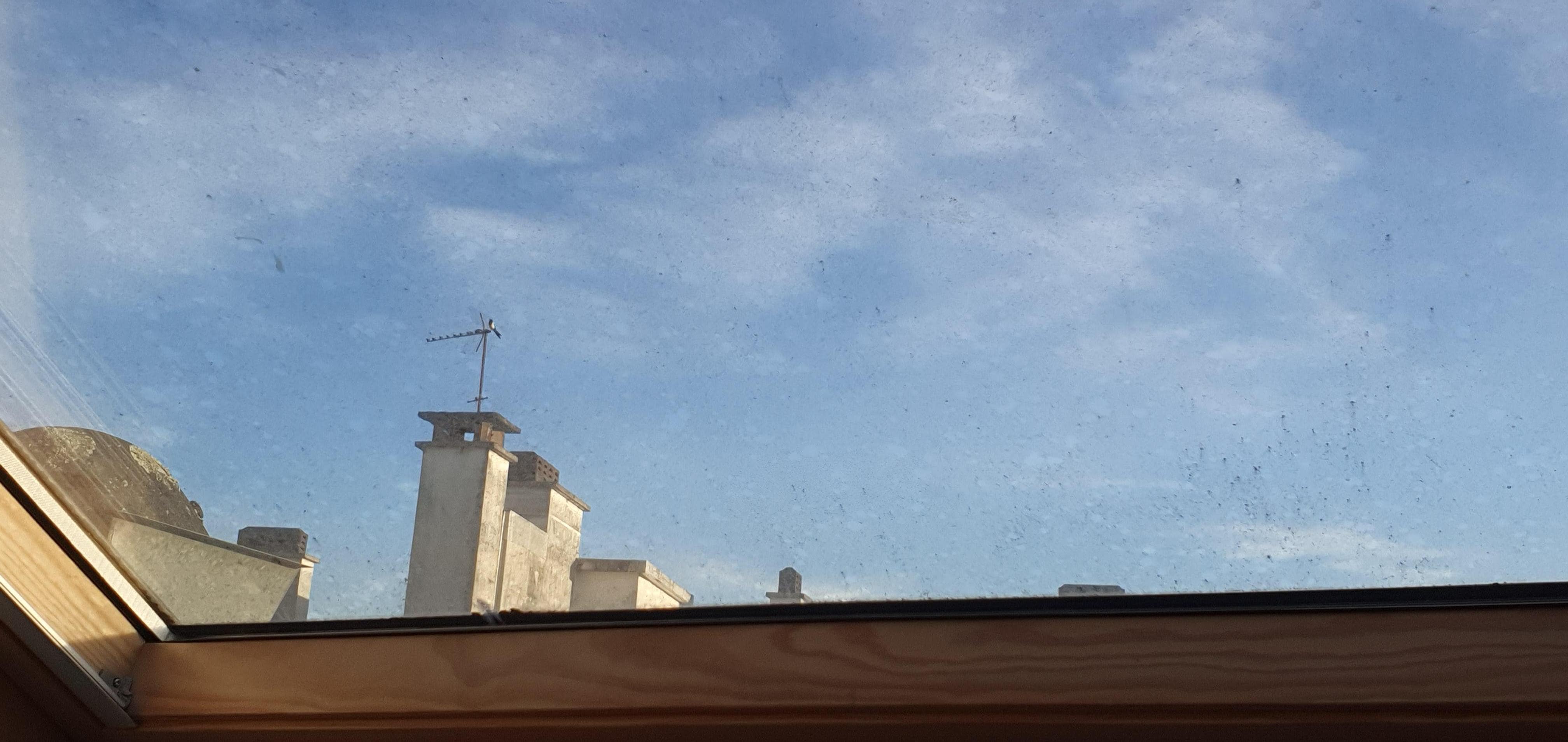 VITRE SALE ET STORE DELABRE 