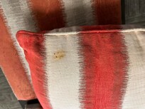 Food smeared on the dirty throw pillows.