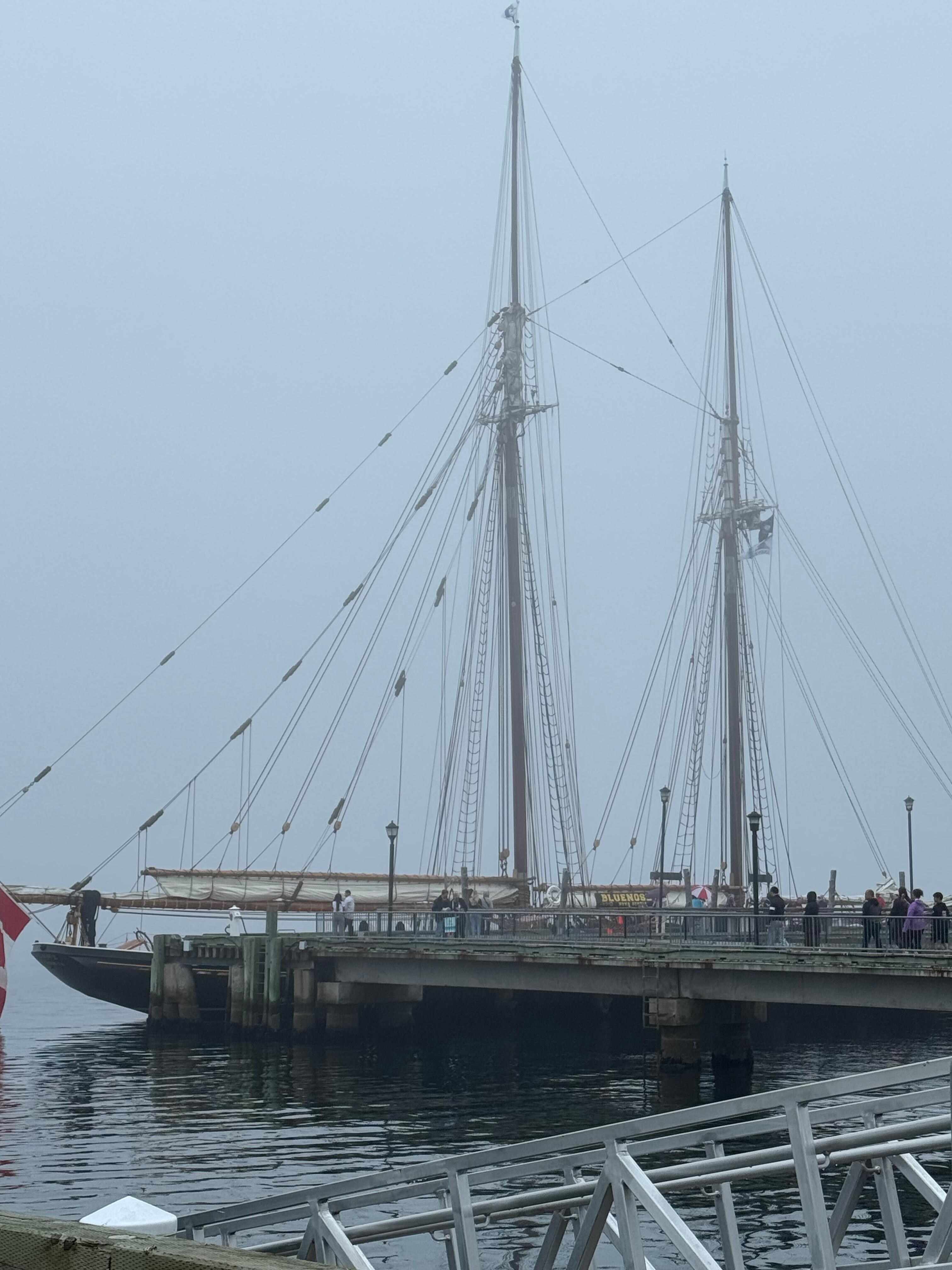 Boats at the pier 