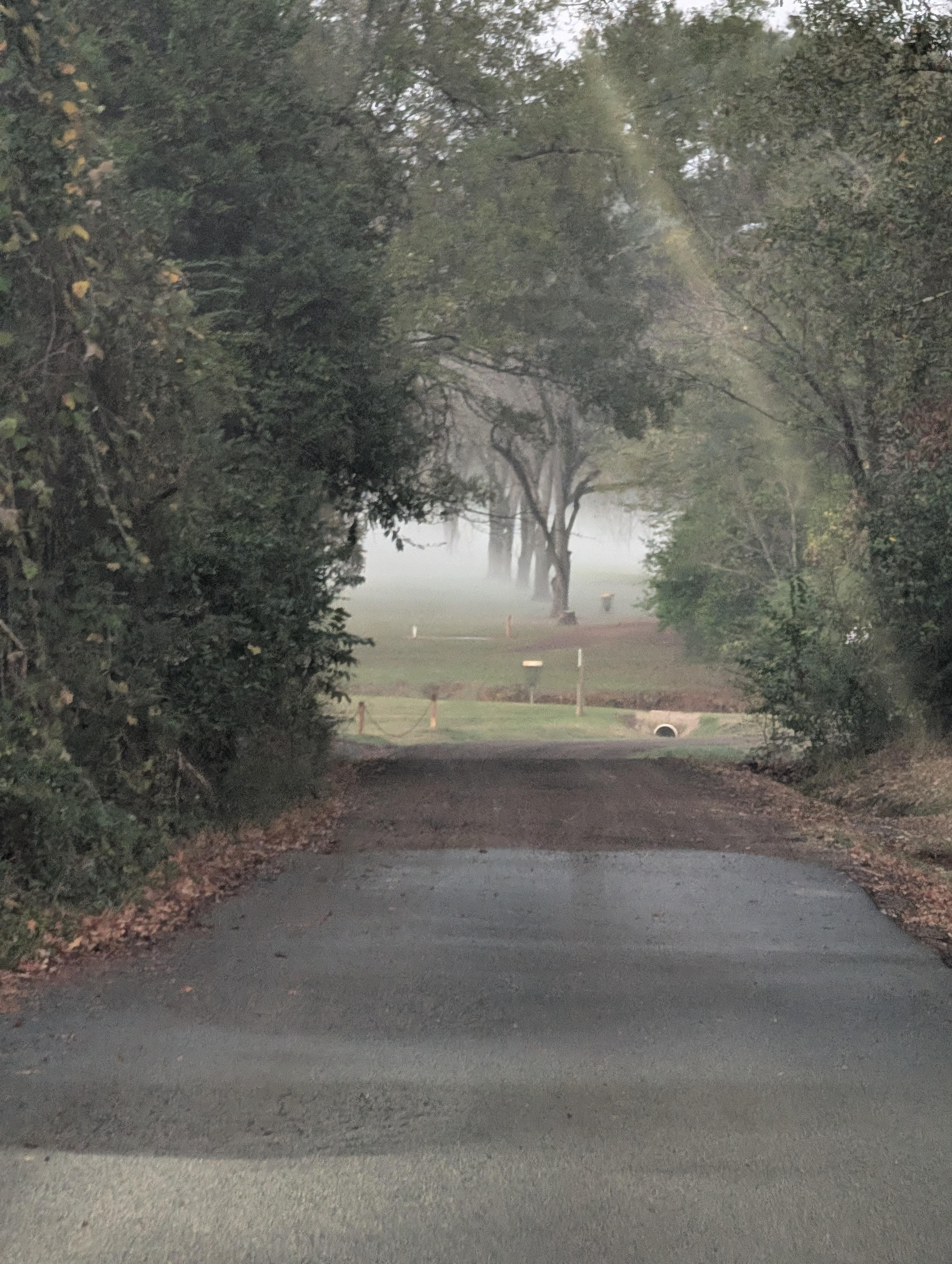 The very nice family park next door and my granddaughters loved seeing the deer in the morning.
