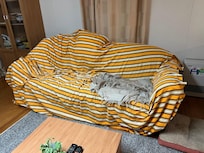 I had to cover couch to sit on it