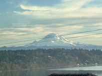 View from the bedroom and living room