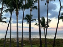 Early am view!