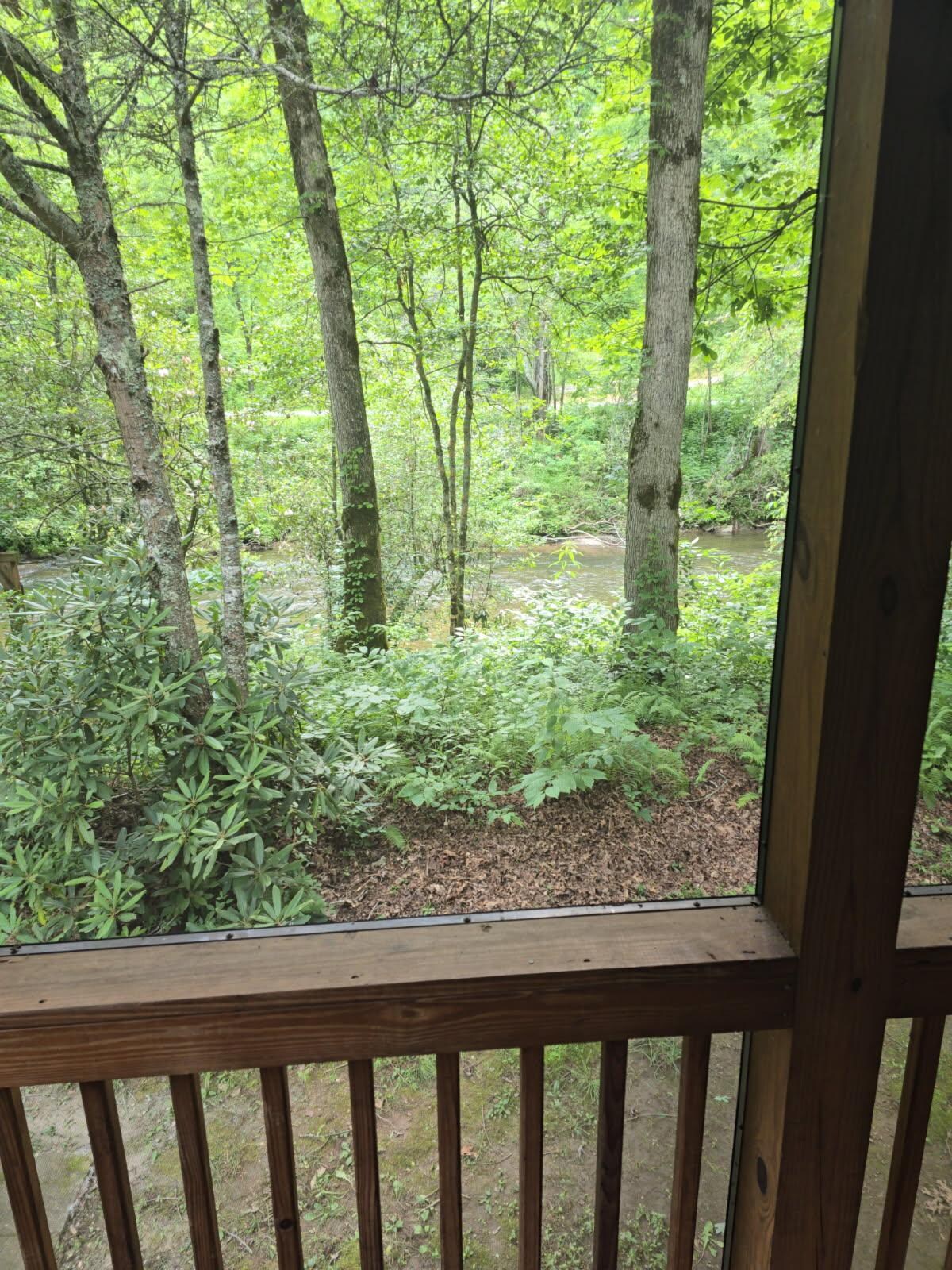 View from deck