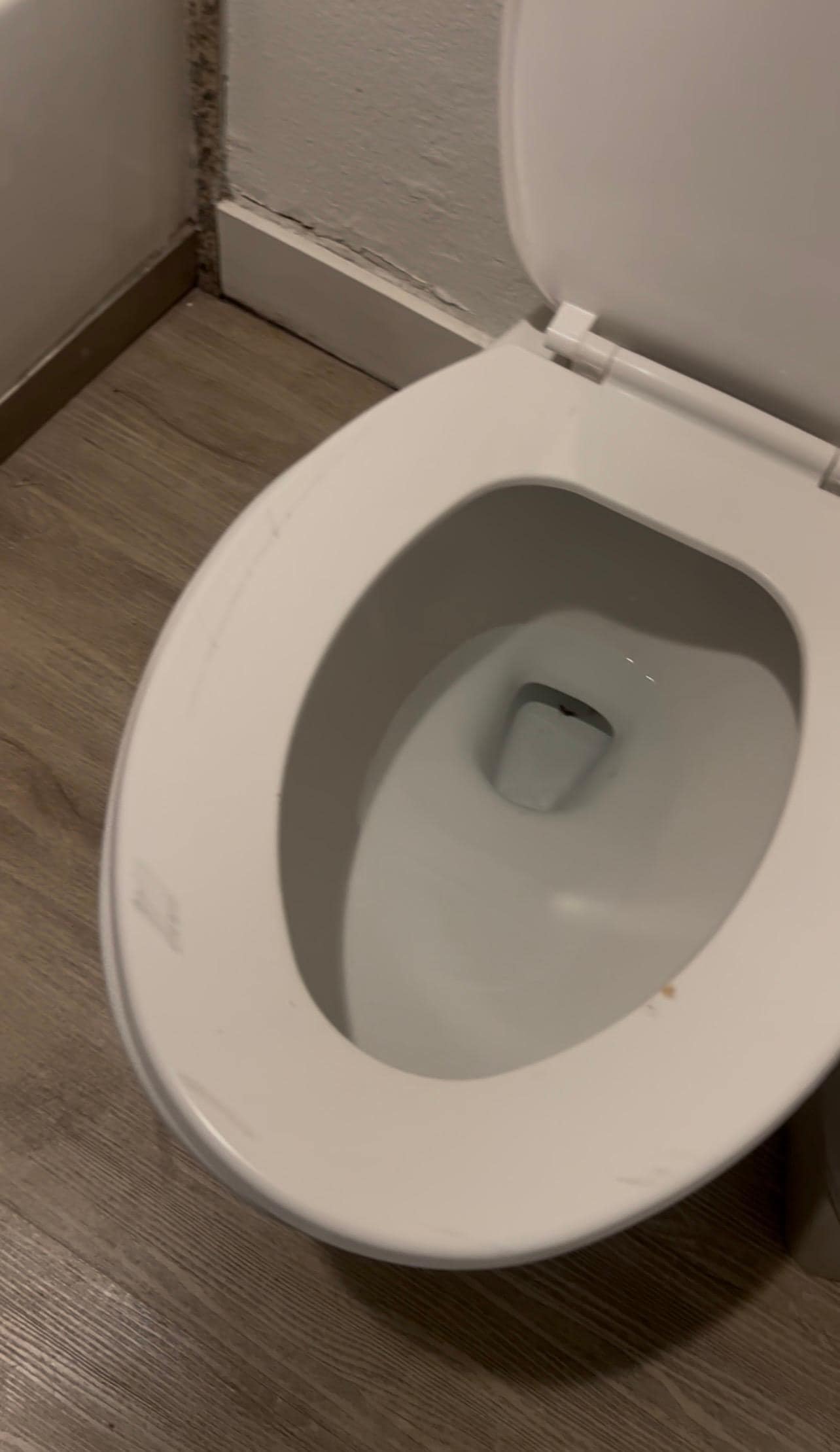 Unusable toilet seat 
