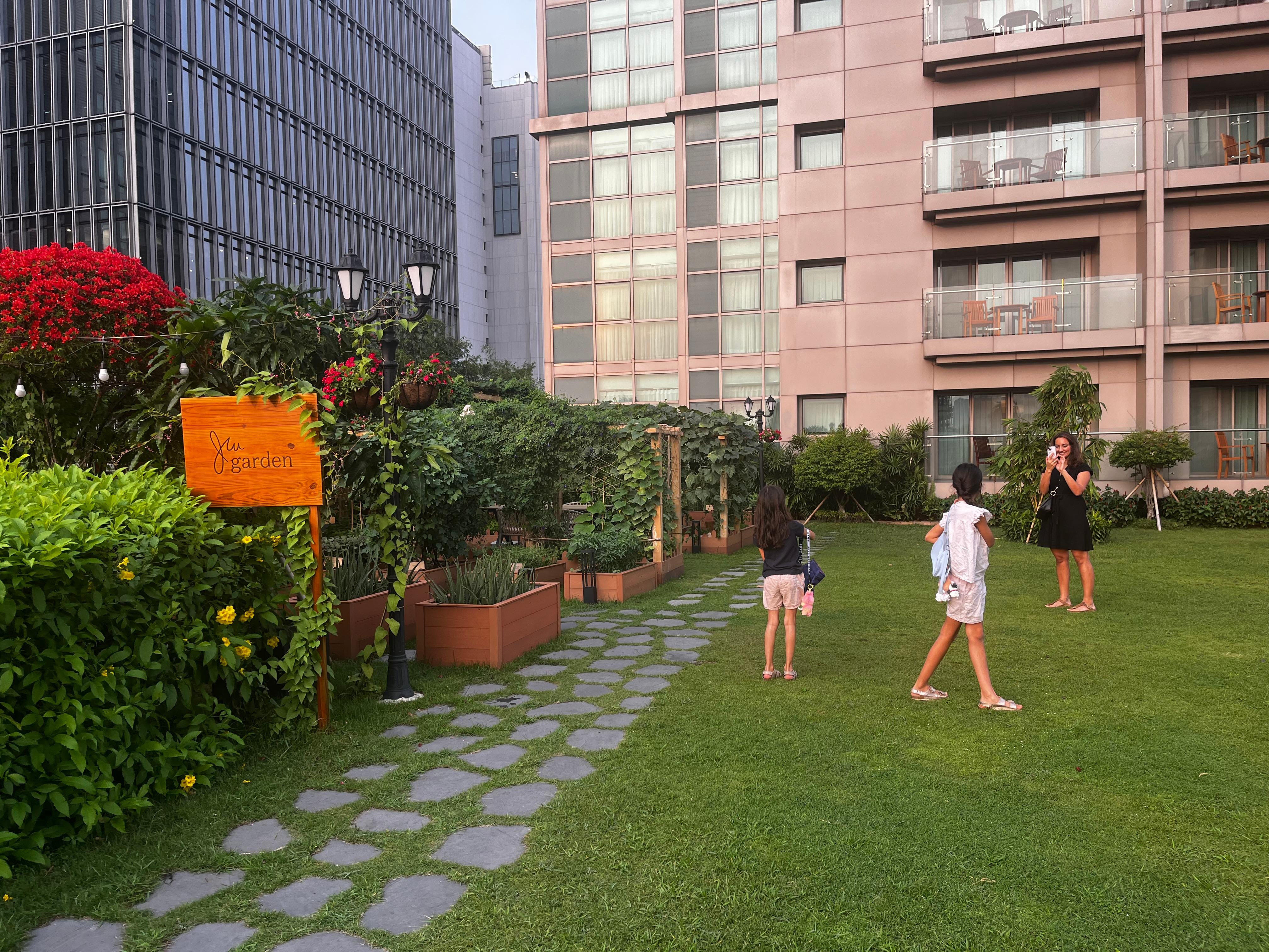 Gras lawn oasis with herbal garden