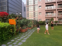 Gras lawn oasis with herbal garden