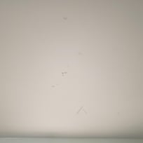 Dont ever atay here... dont ever stay here