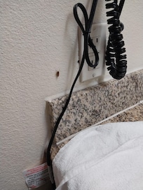 Cockroaches in bathroom and around sink and vanity area.