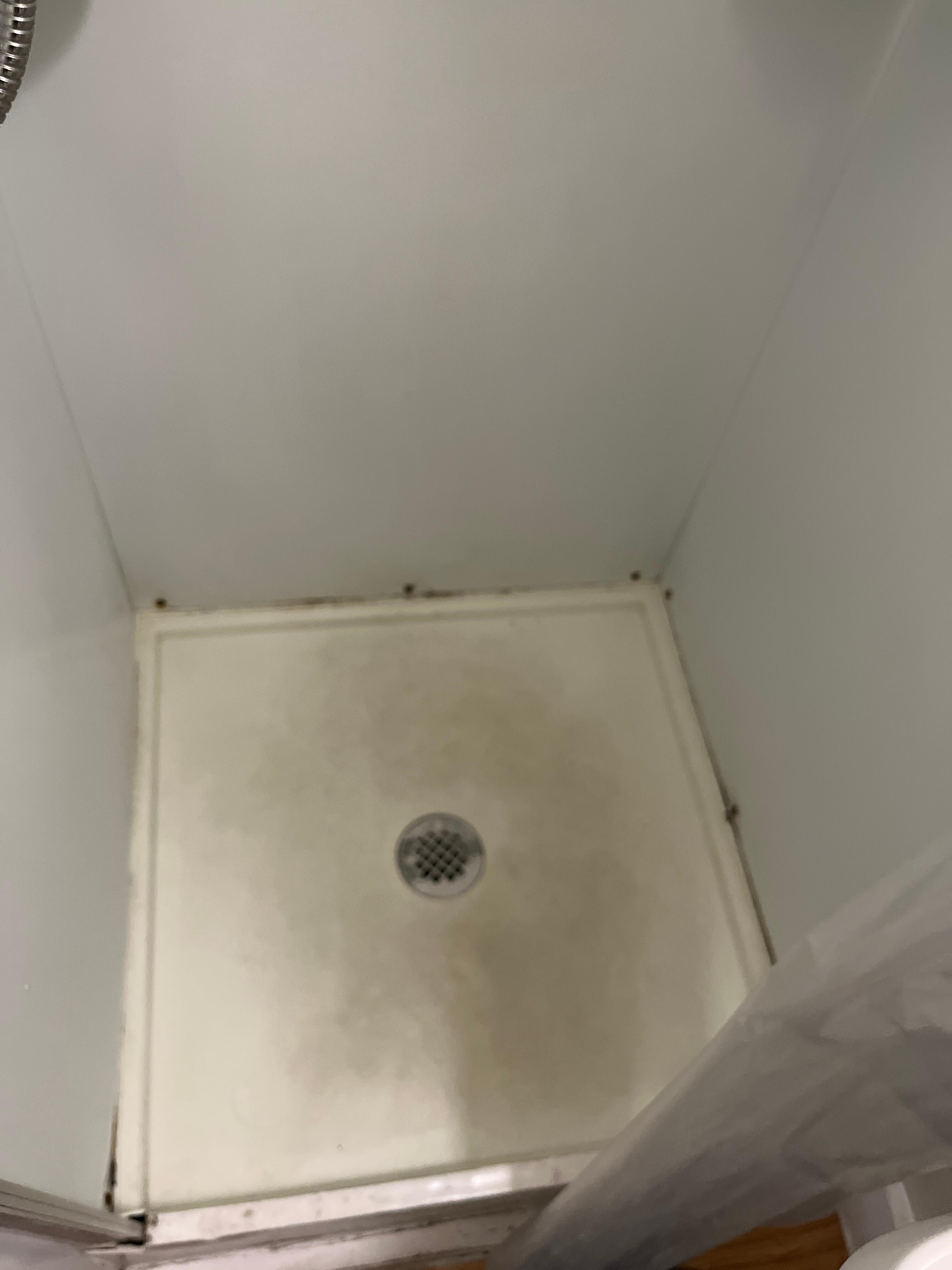 Douche pleins de moisissure nous sommes aller à la pharmacie acheter nettoyant les planches étaient sales mon conjoints avait les pieds noirs après 15 minutes on a lavé les plancher 