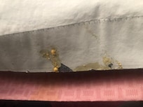 Curtain