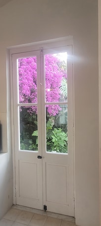 Vista da janela no café da manhã