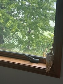 Window in the front living room.