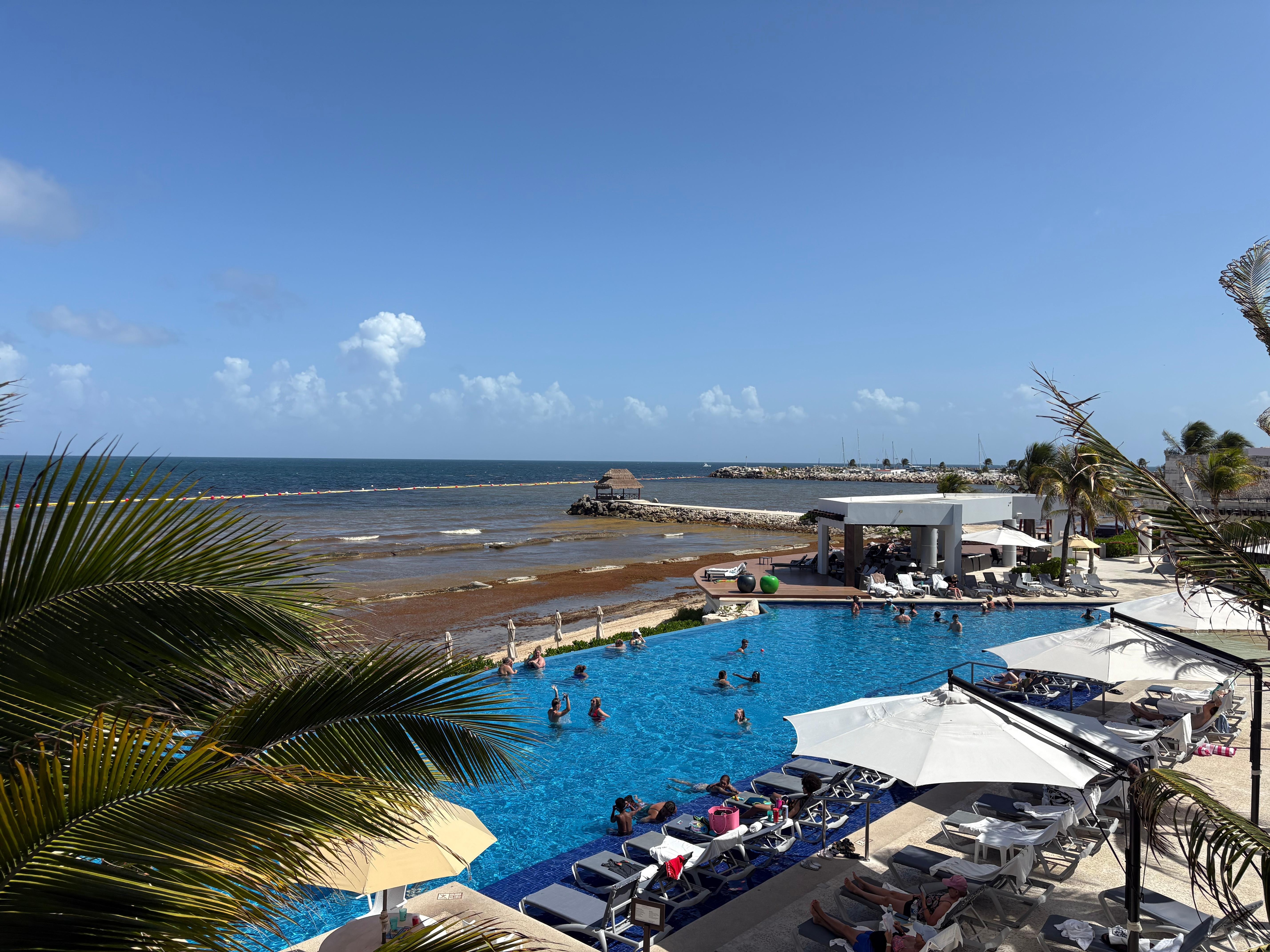 Ocean view from hotel balcony. Infinity pool is beautiful but beach is covered in seaweed.