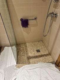 Walk in shower