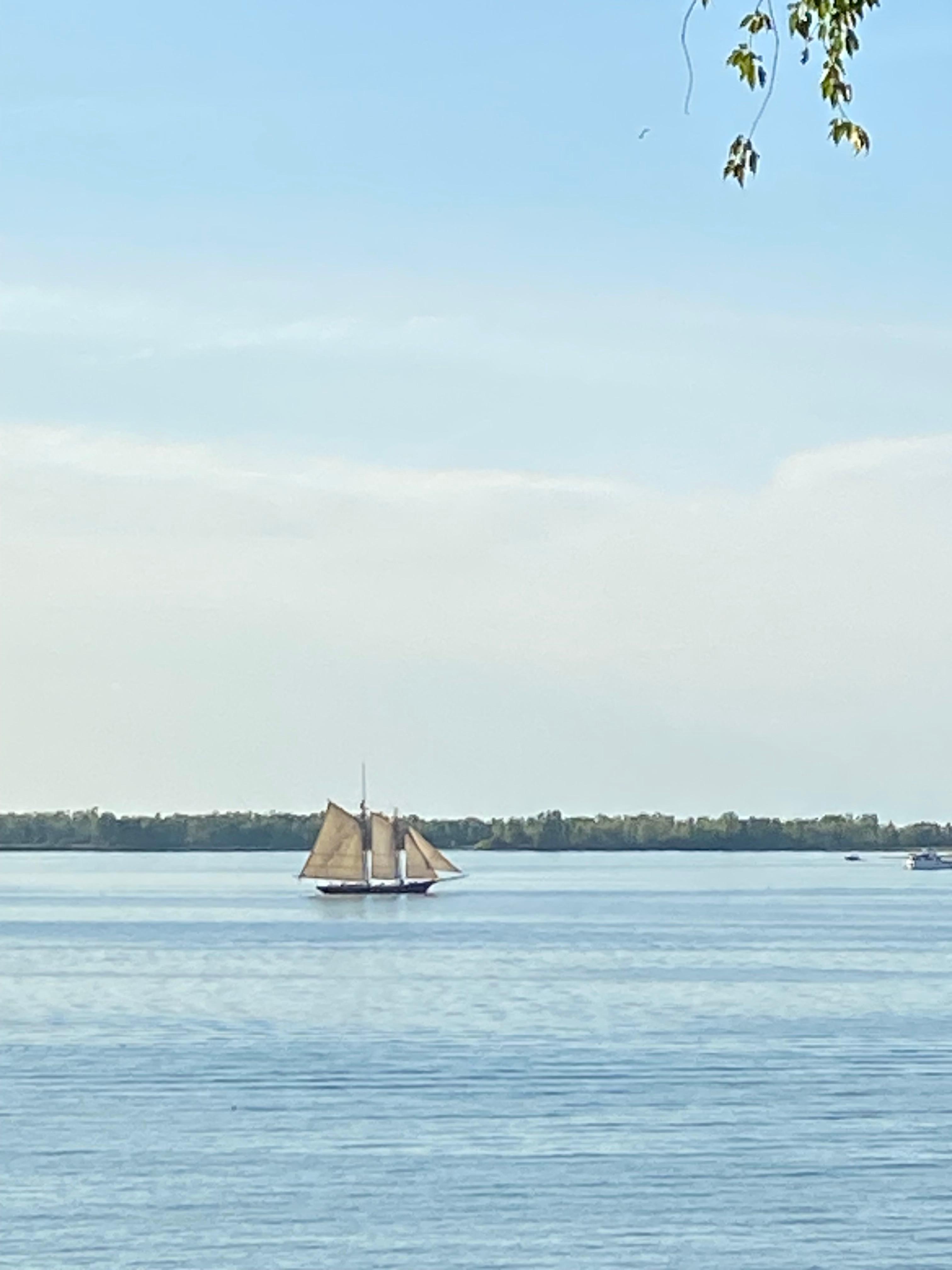 Schooner passing by.