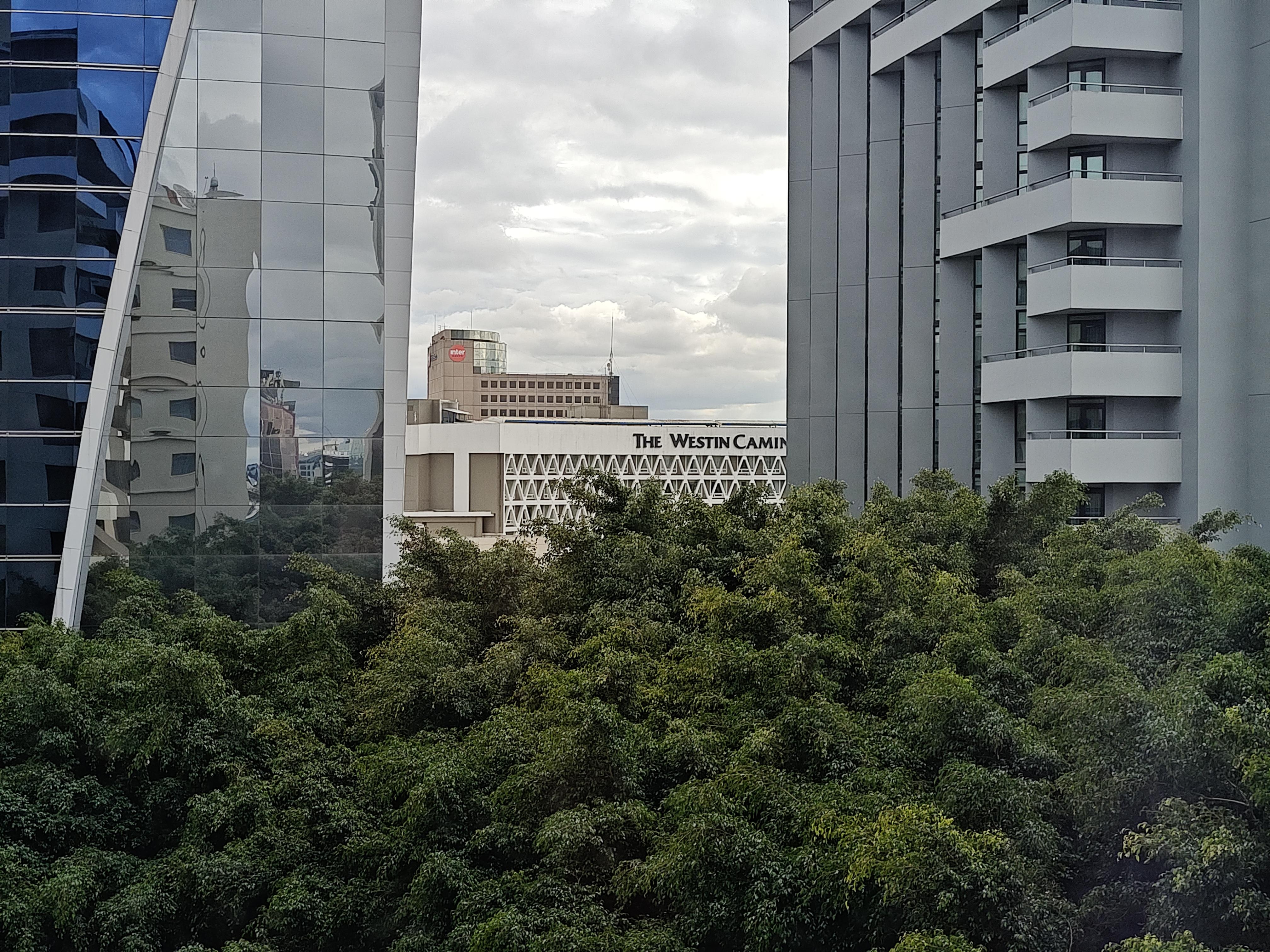 Vista desde el 8o. Piso