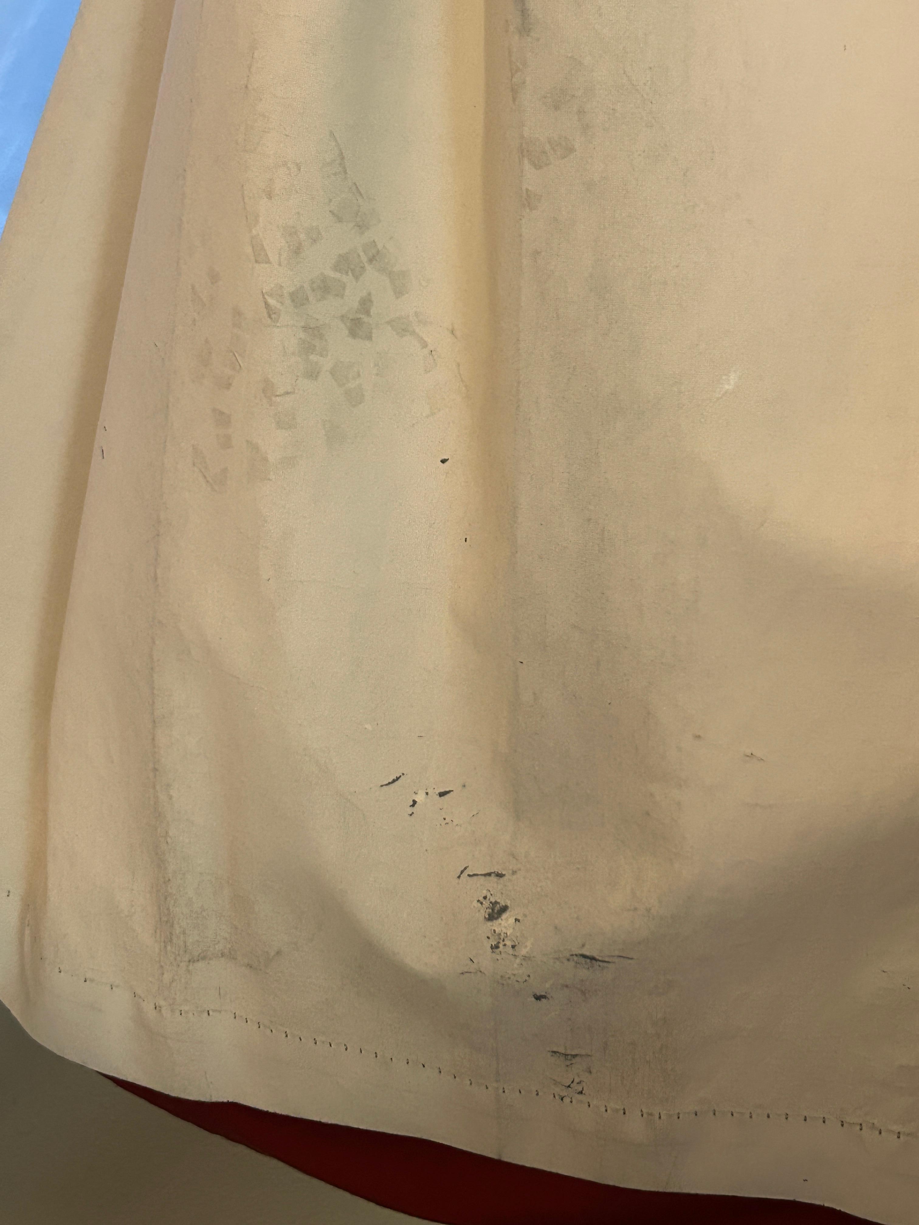 Mold on curtains 