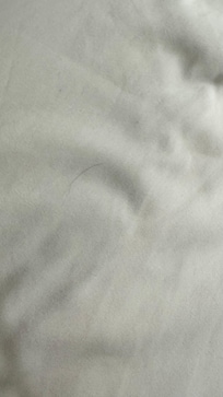 Hair is in the bed.