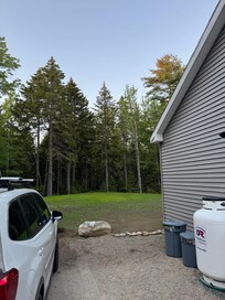 Back yard