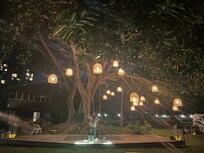 Evening music at Branches