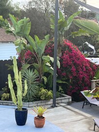 Flowers and greenery were beautiful