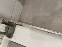 Mold in the shower frame