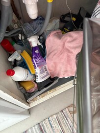 Gross supplies under sink