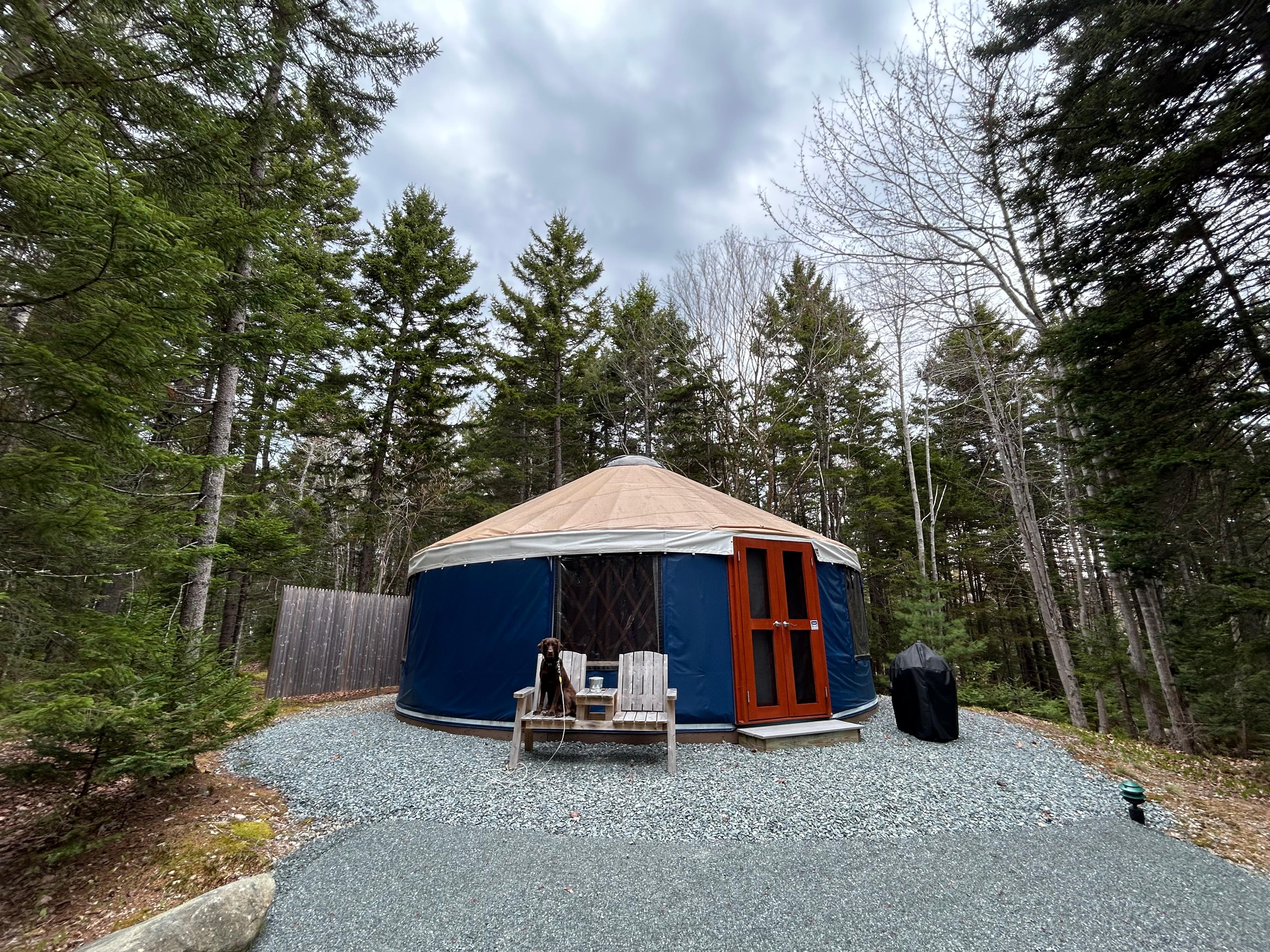 Dog friendly! I especially recommend booking Sergant Mountain Yurt for its location at the back of the land (quietest area!) but still within a two minute walk to everything on the property! 