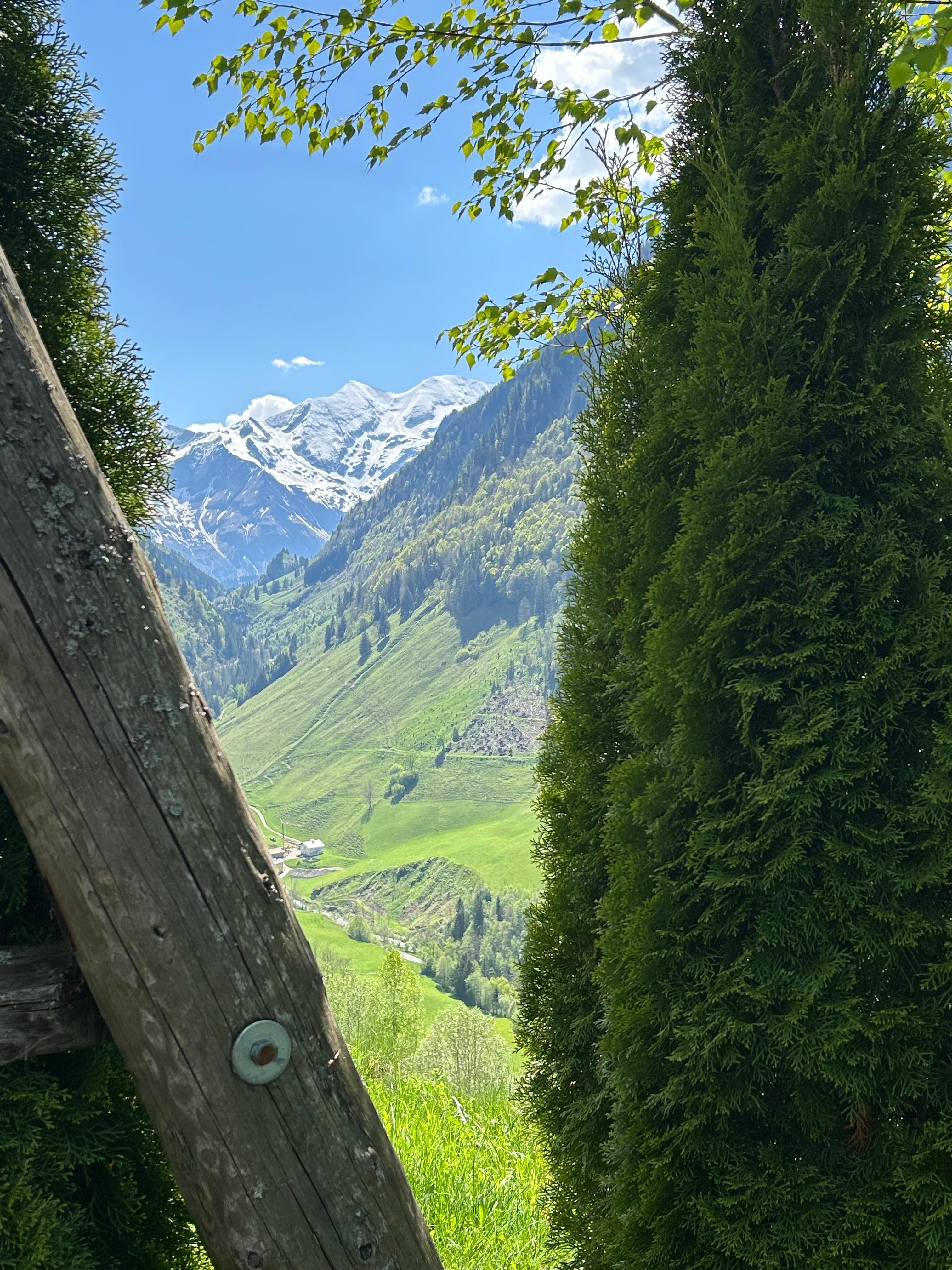 Aussicht von der super Schaukel 😅