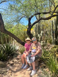 Desert museum