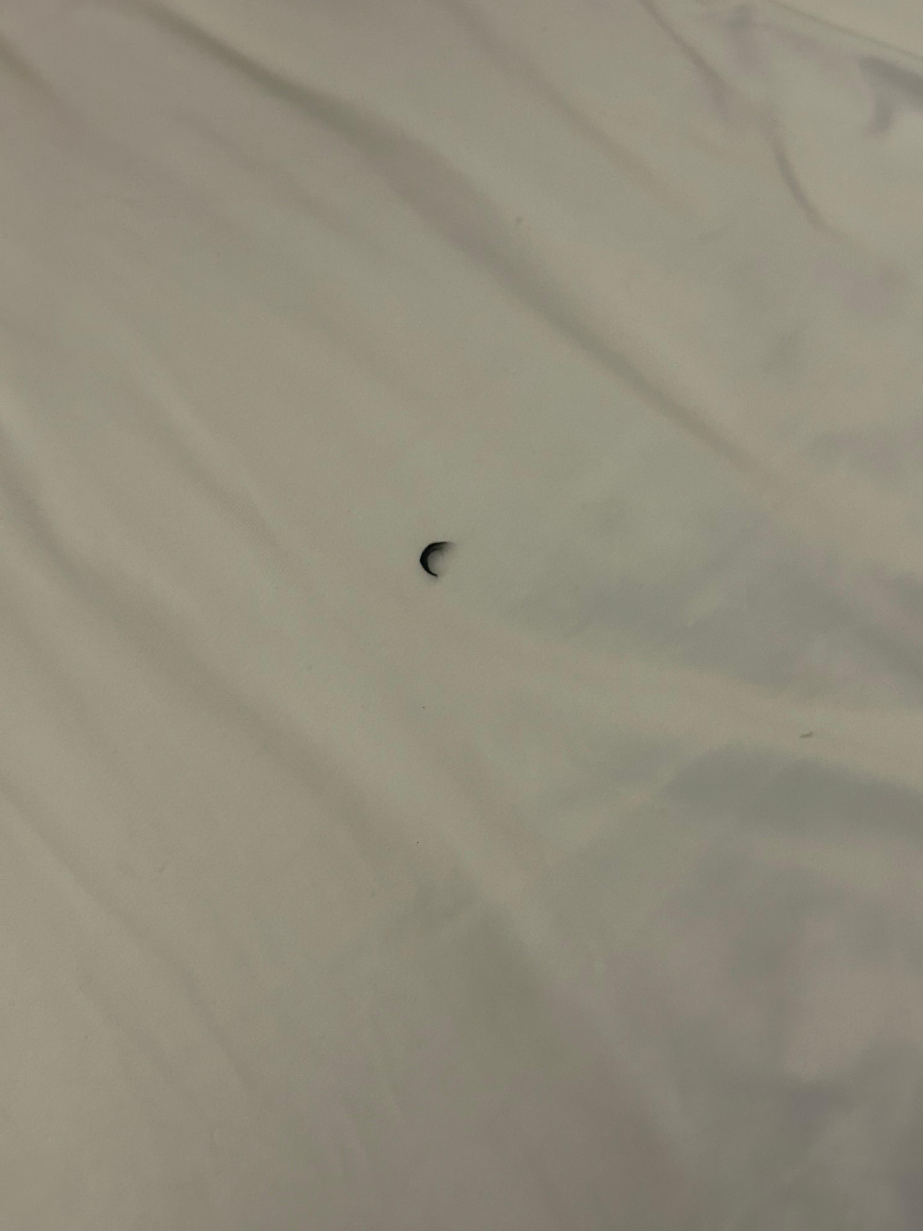 Eyelash in bed