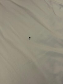 Eyelash in bed