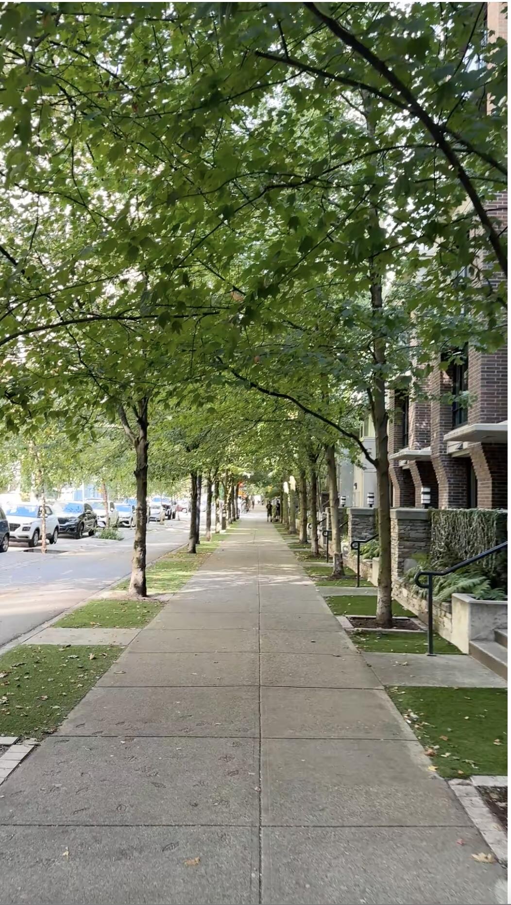 This is the street the apartment is on.